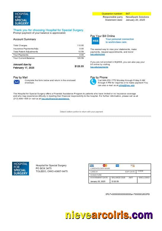 USA Ohio Hospital For Special Surgery business utility bill